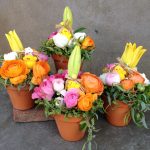 fiori
