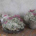 fiori